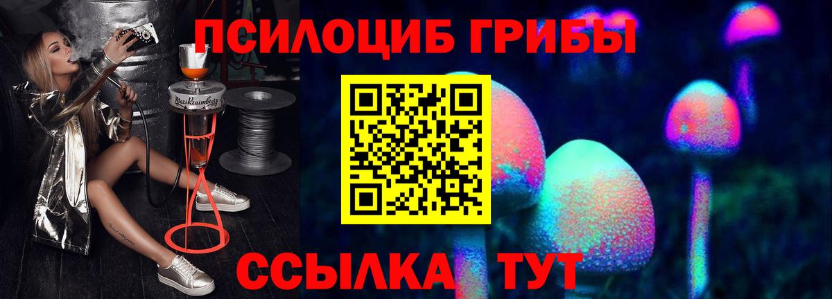 Белореченск  где купить наркоту  Вход с VPN  Галлюциногенные грибы мицелий 